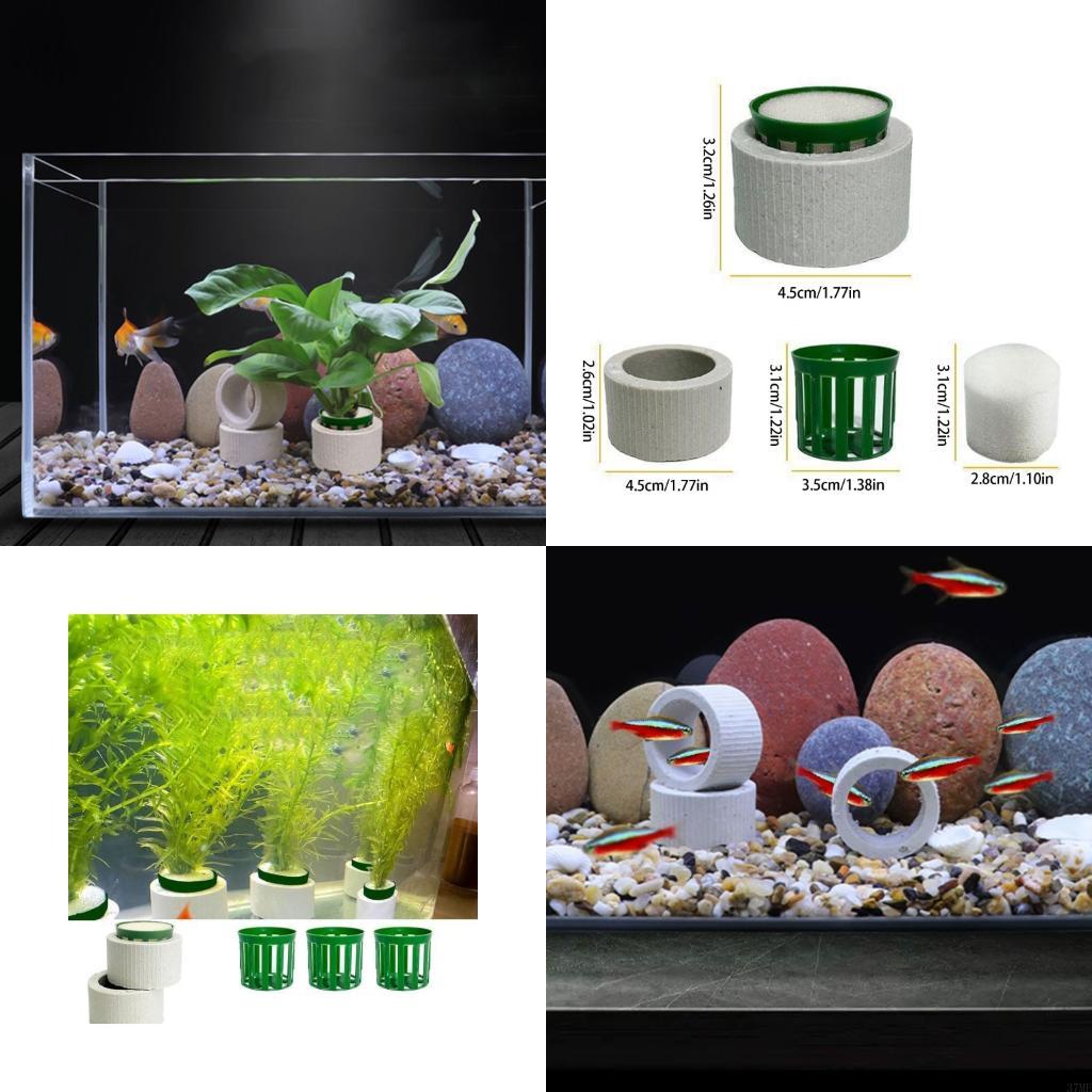 Aquarium Plant Rings - 37ME Ceramic Aquarium Plant Rings For