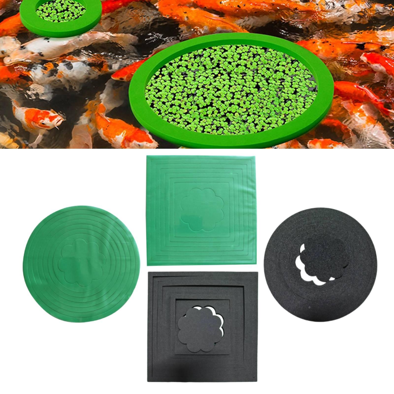 Aquarium Plant Rings - EVA Floating Plant Rings Prevent Food