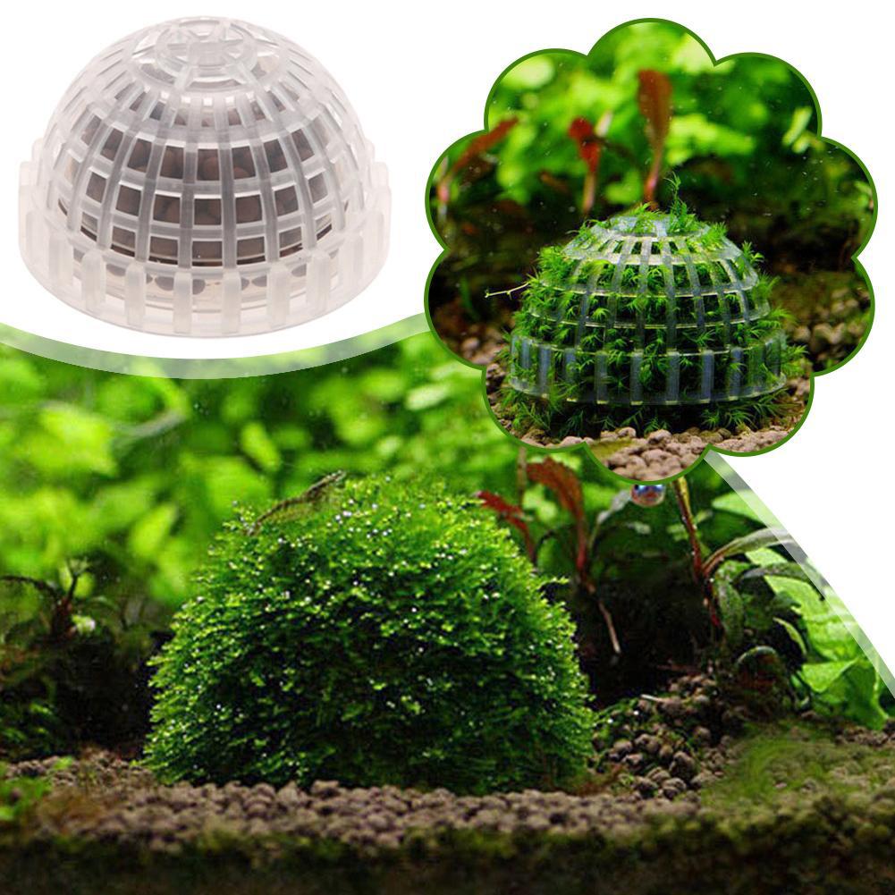 Aquarium Plant Red - Aquarium Decoration Plants Bio Moss Ball
