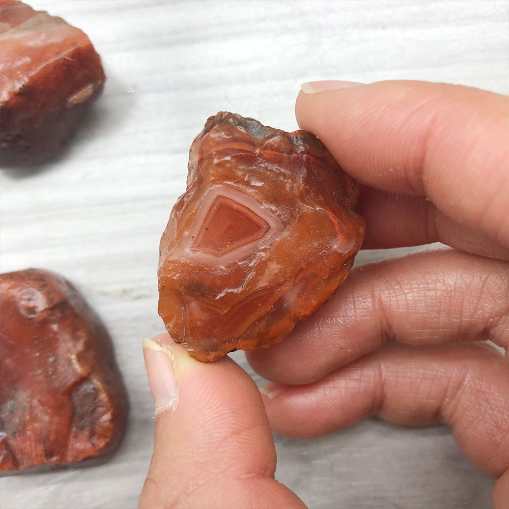 Aquarium Plant Red - 1pc Random Rough Raw Carnelian Red