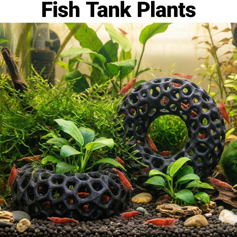3D Printed Ring Shaped Aquariu - огляд і ціна Aquarium Plant Rings