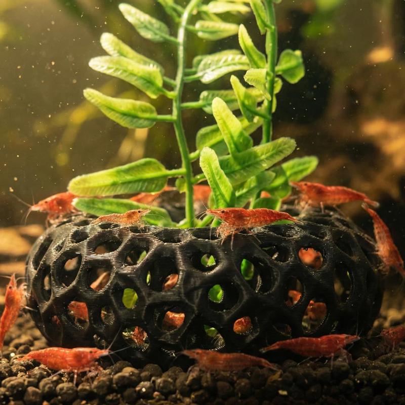 3D Printed Ring Shaped Aquariu - огляд і ціна Aquarium Plant Rings