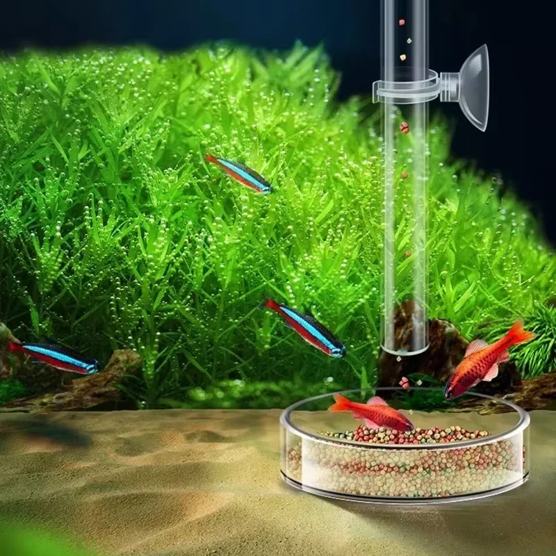 Aquarium Glass Feeding Tube &  - огляд і ціна Aquarium Plant Red