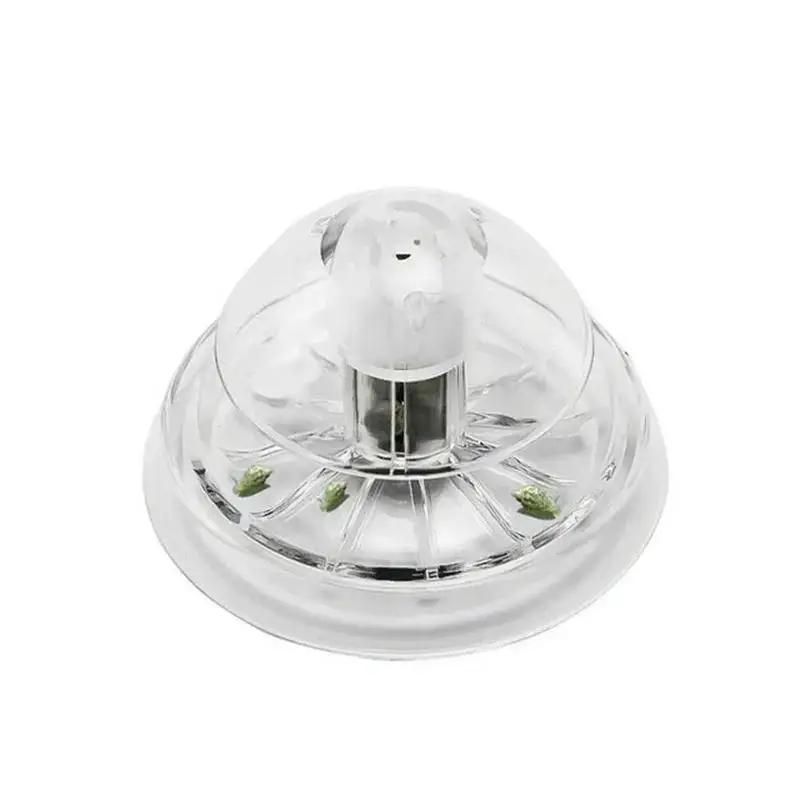 2026 New 6/8CM Clear Plastic S - огляд і ціна Planted Aquarium Cleaning