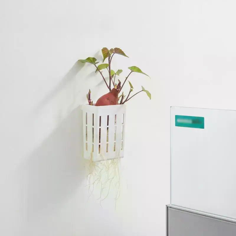 1Pcs Hydroponic Support Basket - огляд і ціна Aquarium Planted