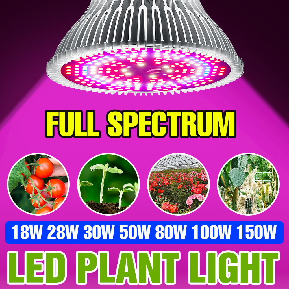 150W E27 Full Spectrum Plant B - огляд і ціна Aquarium Plant Root Tabs