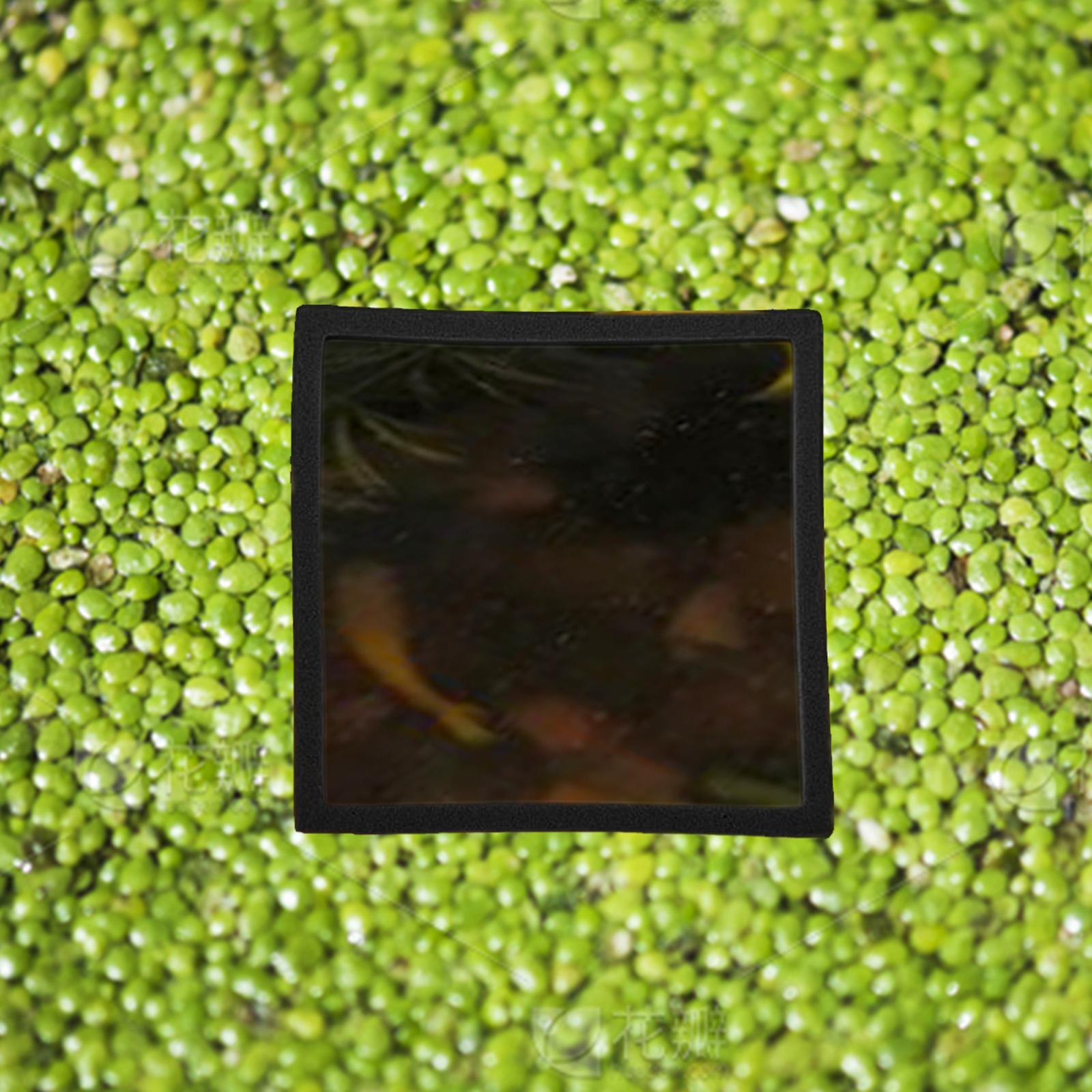 5 Pieces Aquarium Floating Pla - огляд і ціна Aquarium Plant Rings