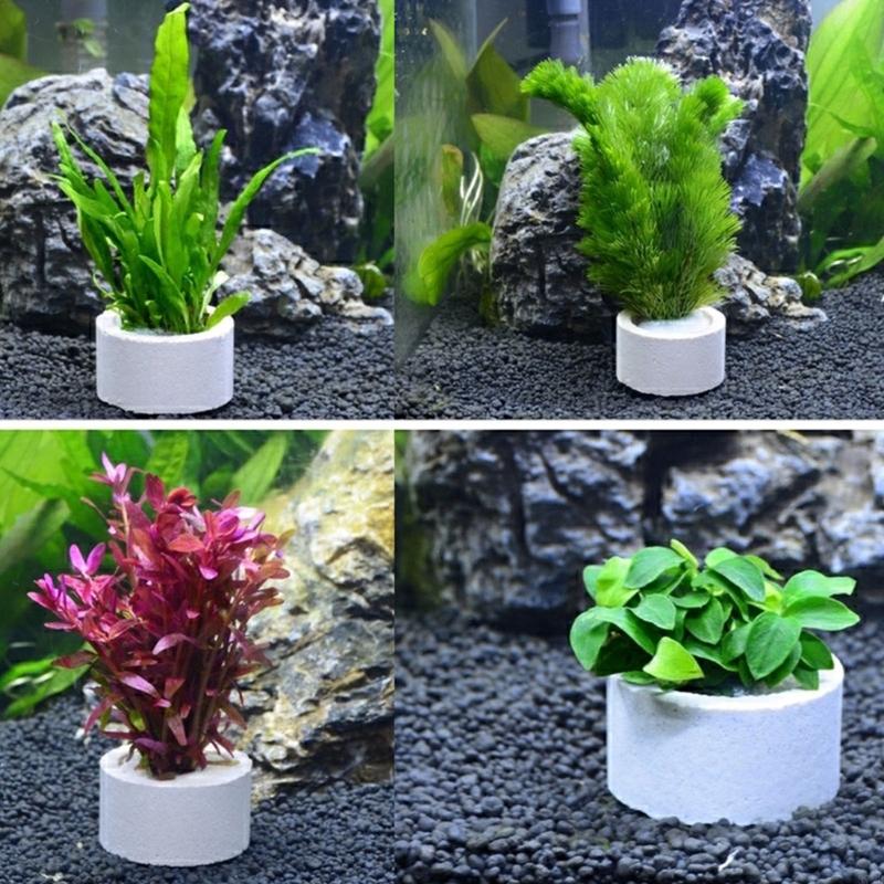 37ME Ceramic Aquarium Plant Ri - огляд і ціна Aquarium Plant Rings