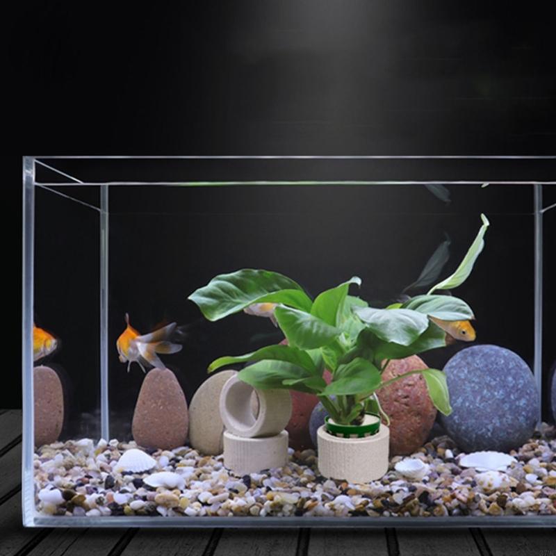 37ME Ceramic Aquarium Plant Ri - огляд і ціна Aquarium Plant Rings
