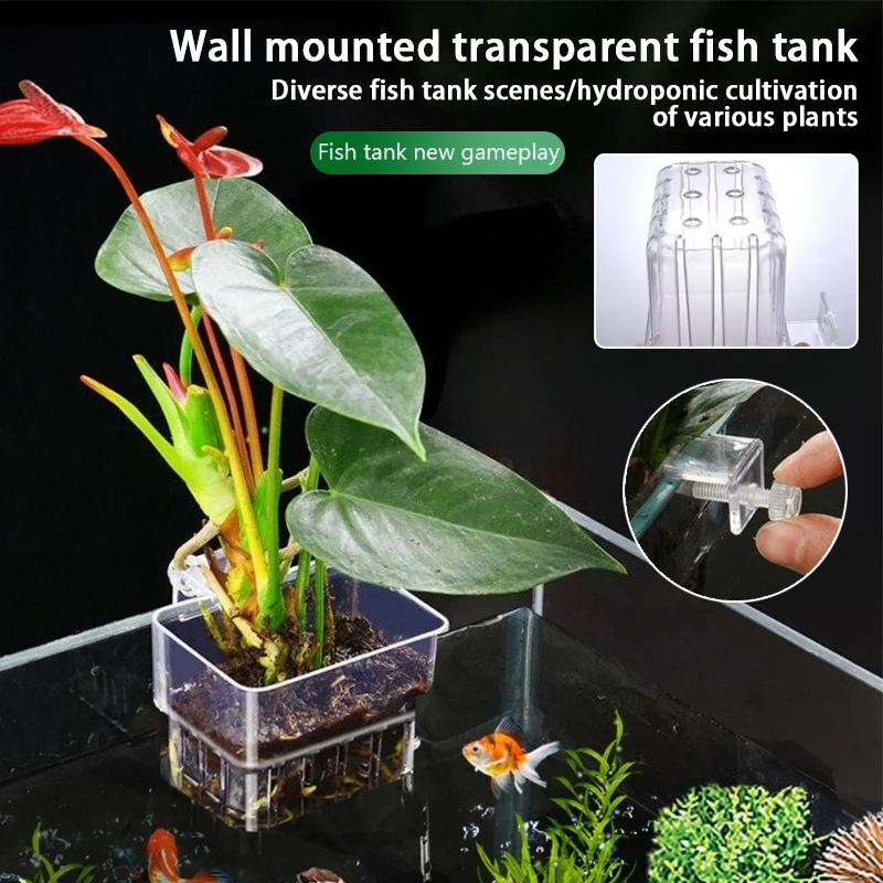 Aquarium Hanging Planter Cups  - огляд і ціна Aquarium Plant Rings