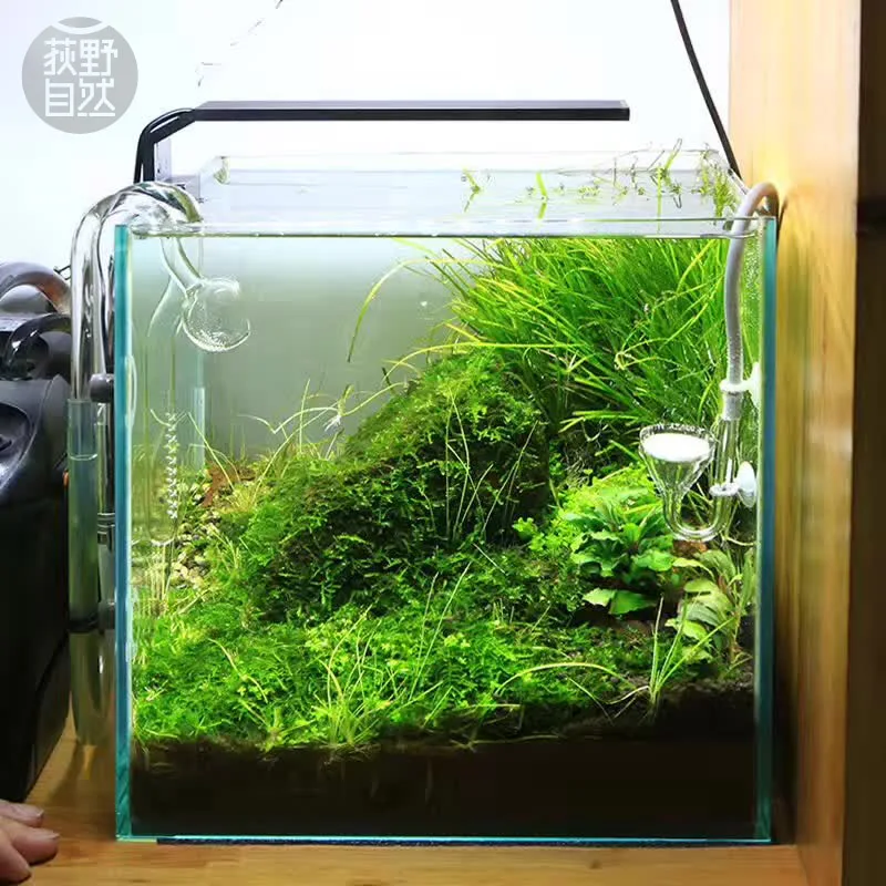 Chihiros C Series ADA Style Pl - огляд і ціна Planted Aquarium Ada