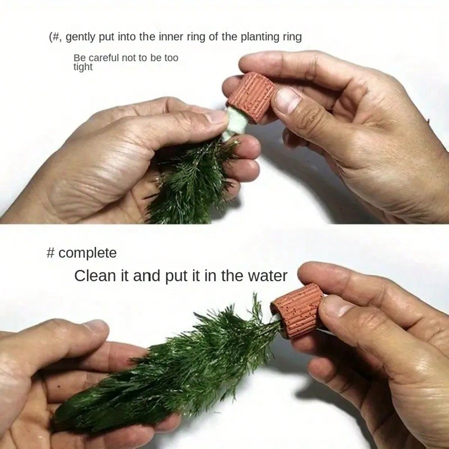 High   Quality Aquarium Plant  - огляд і ціна Aquarium Plant Rings