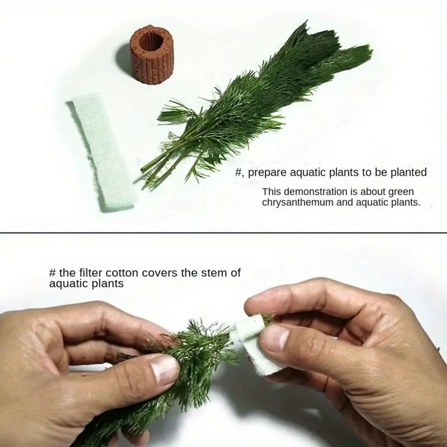 High   Quality Aquarium Plant  - огляд і ціна Aquarium Plant Rings