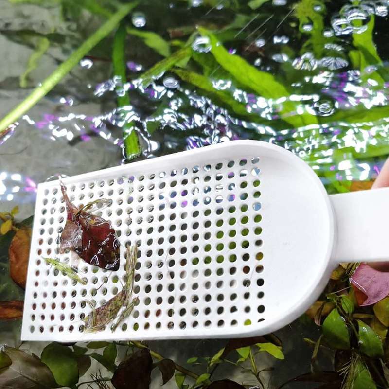 Aquarium Fish Tank Debris Scoo - огляд і ціна Planted Aquarium Products