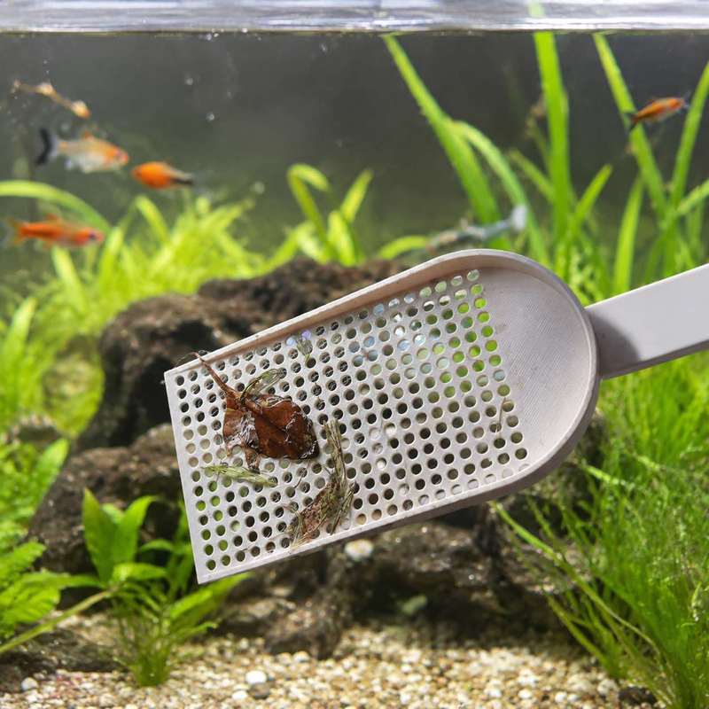 Aquarium Fish Tank Debris Scoo - огляд і ціна Planted Aquarium Products
