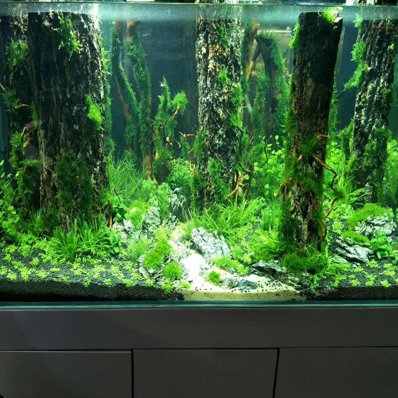Simulation Tree Trunk Sinking  - огляд і ціна Aquarium Plant Root Tabs