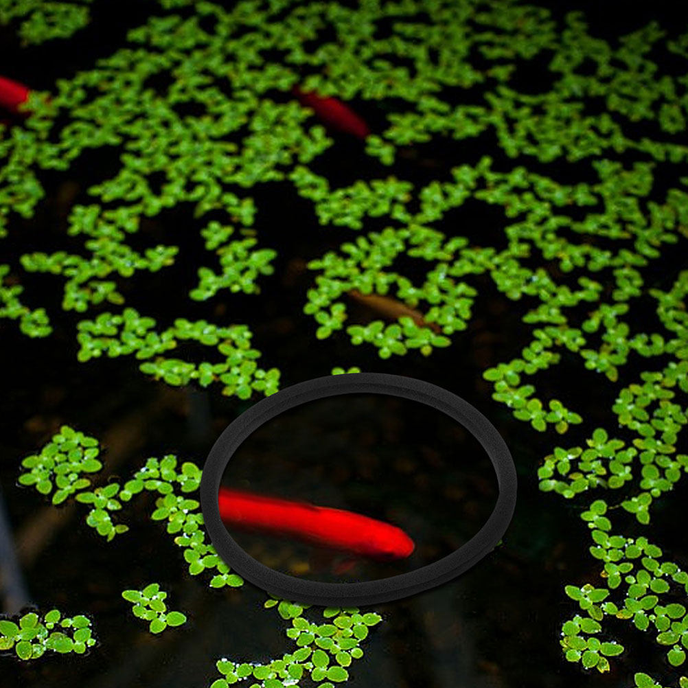 20Pcs Aquarium Floating Plant  - огляд і ціна Aquarium Plant Rings