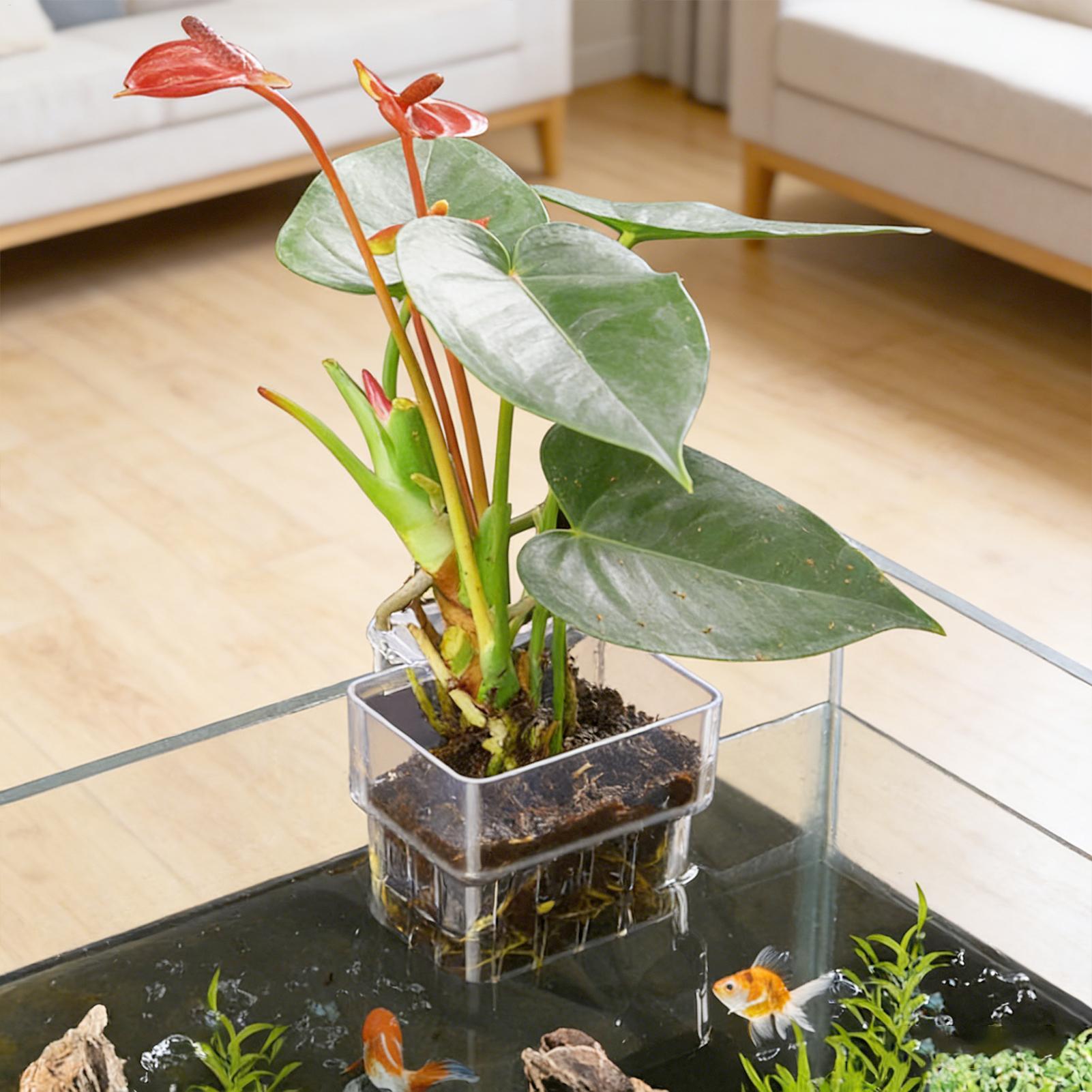 Transparent Hangable Aquarium  - огляд і ціна Aquarium Plant Rings