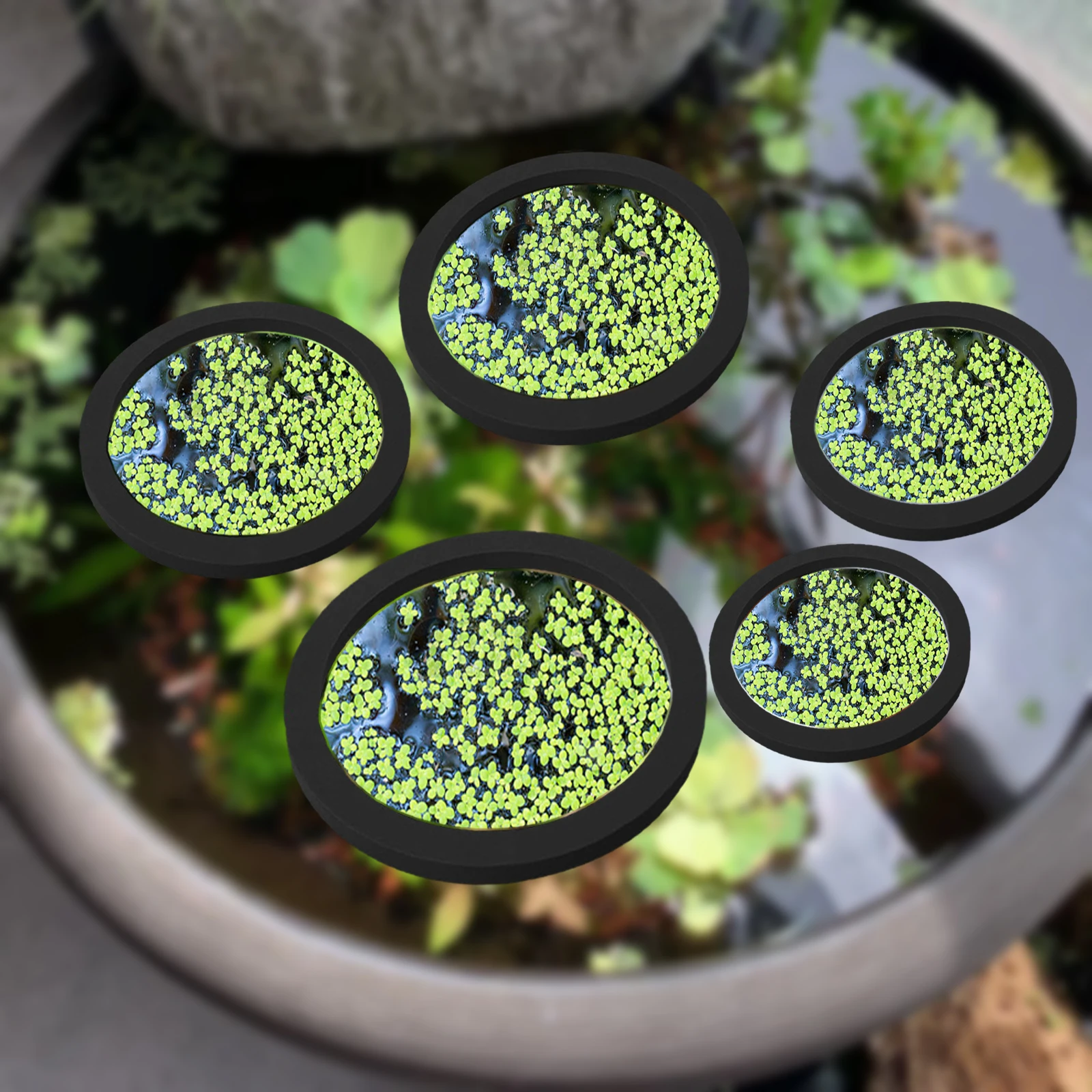 5Pcs EVA Fish Feeding Ring Aqu - огляд і ціна Aquarium Plant Rings