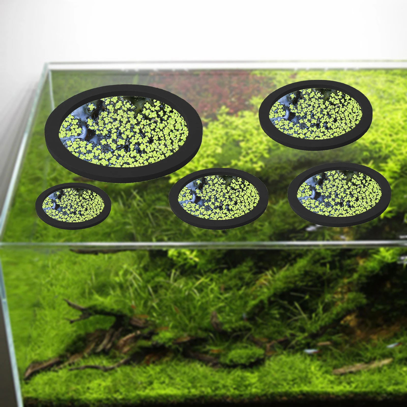 5Pcs EVA Fish Feeding Ring Aqu - огляд і ціна Aquarium Plant Rings