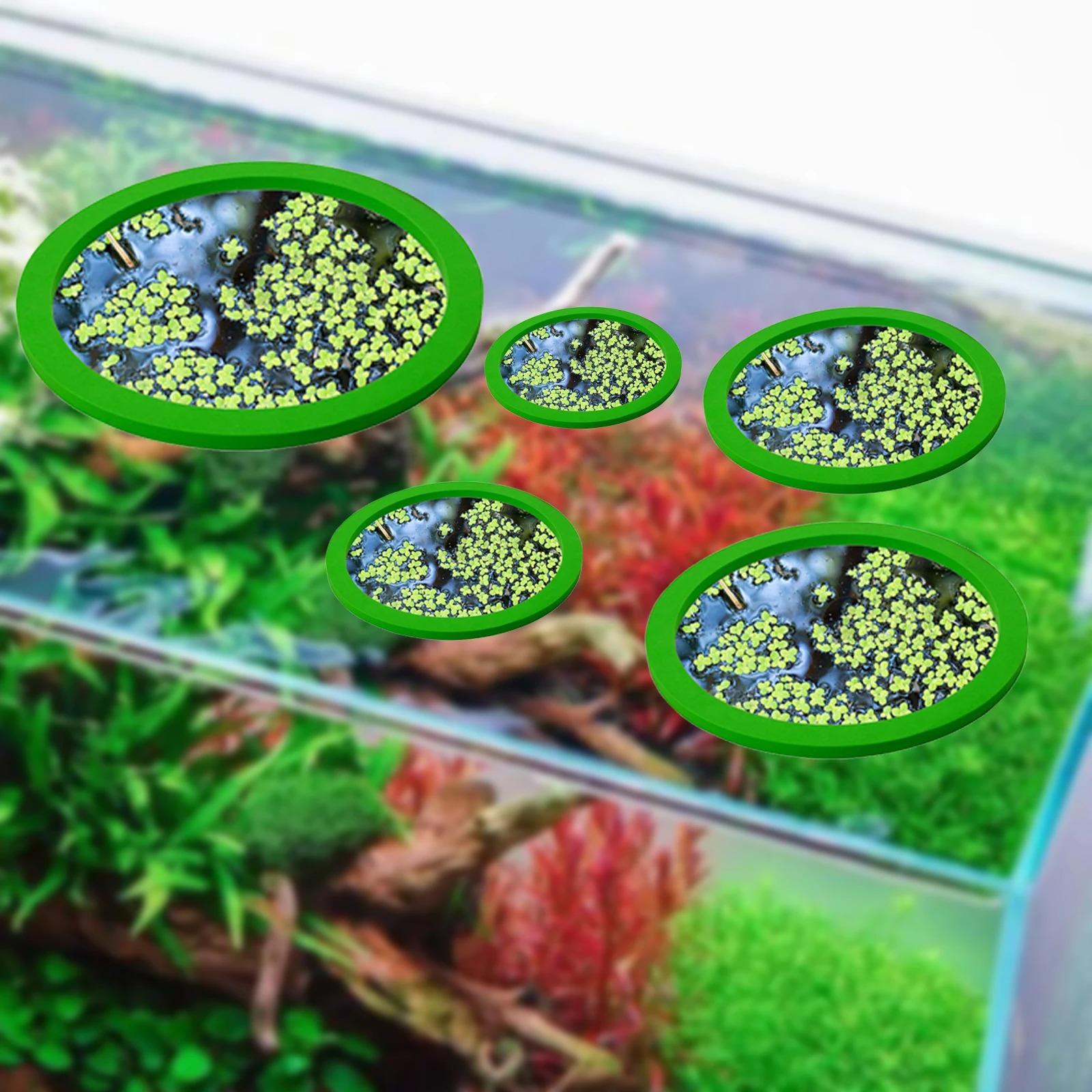 5Pcs EVA Fish Feeding Ring Aqu - огляд і ціна Aquarium Plant Rings