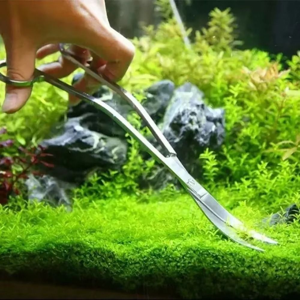 1Pcs Stainless Steel Aquarium  - огляд і ціна Planted Aquarium Cleaning
