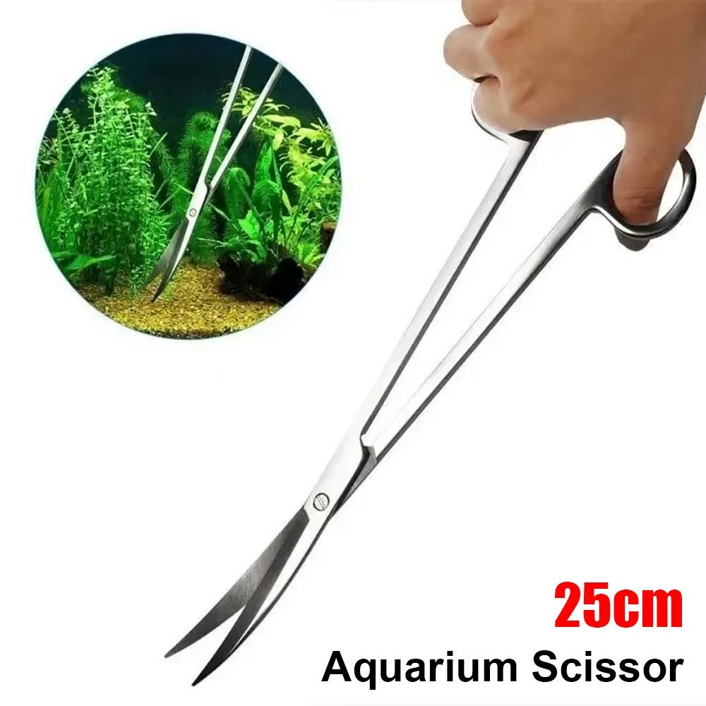 1Pcs Stainless Steel Aquarium  - огляд і ціна Planted Aquarium Cleaning