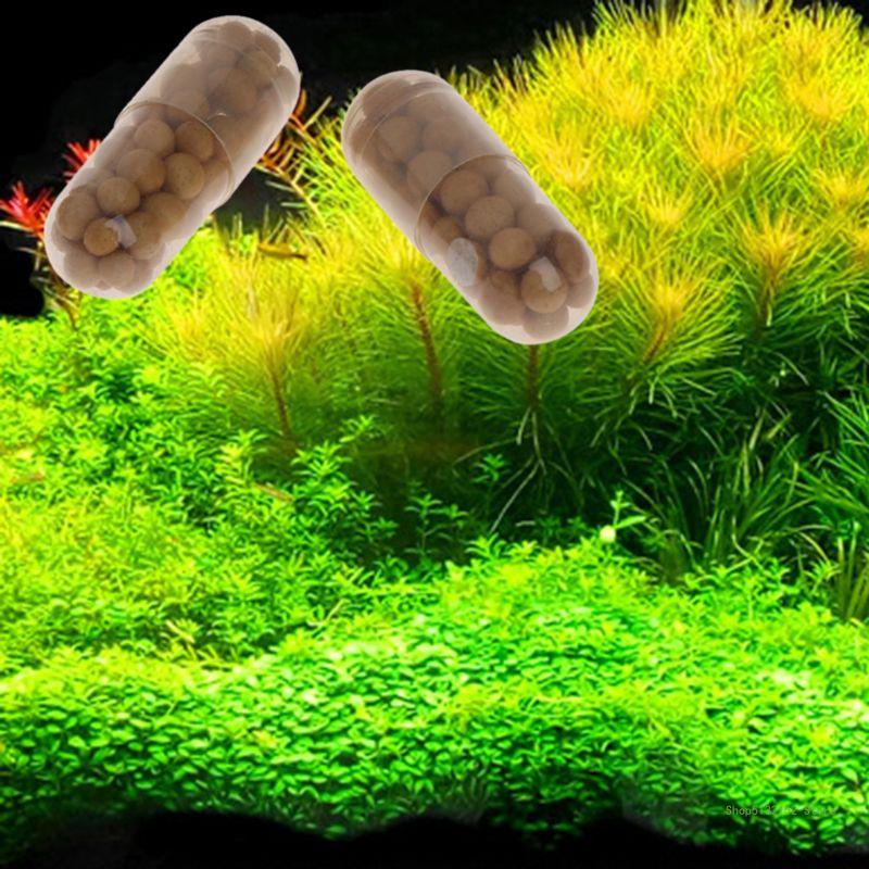 QX2E Aquarium Live Plant Ferti - огляд і ціна Aquarium Plant Root Tabs