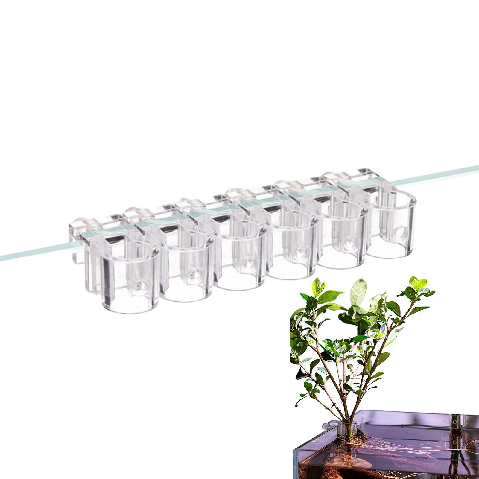 Aquarium Plant Basket Transpar - огляд і ціна Aquarium Plant Rings