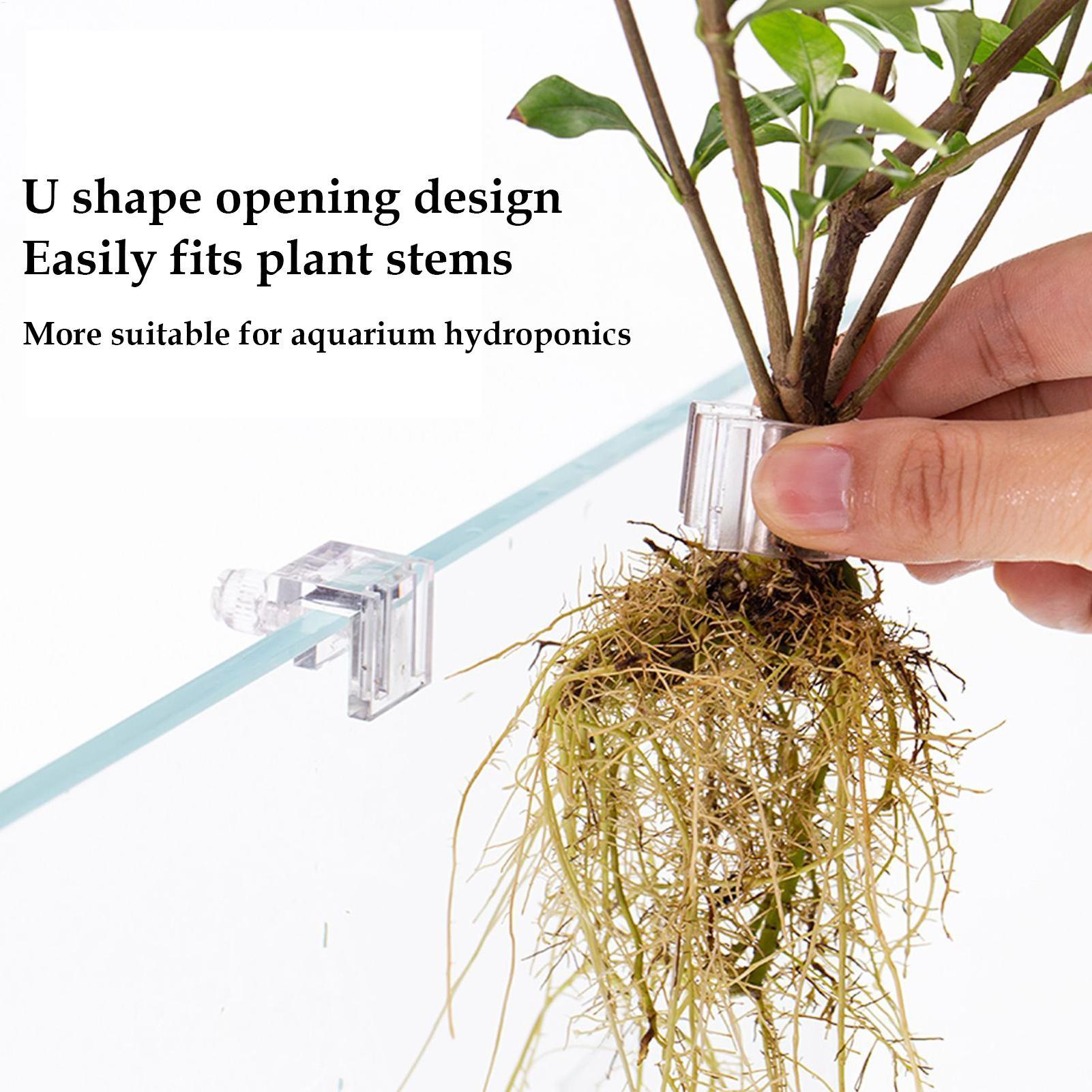 Aquarium Plant Basket Transpar - огляд і ціна Aquarium Plant Rings
