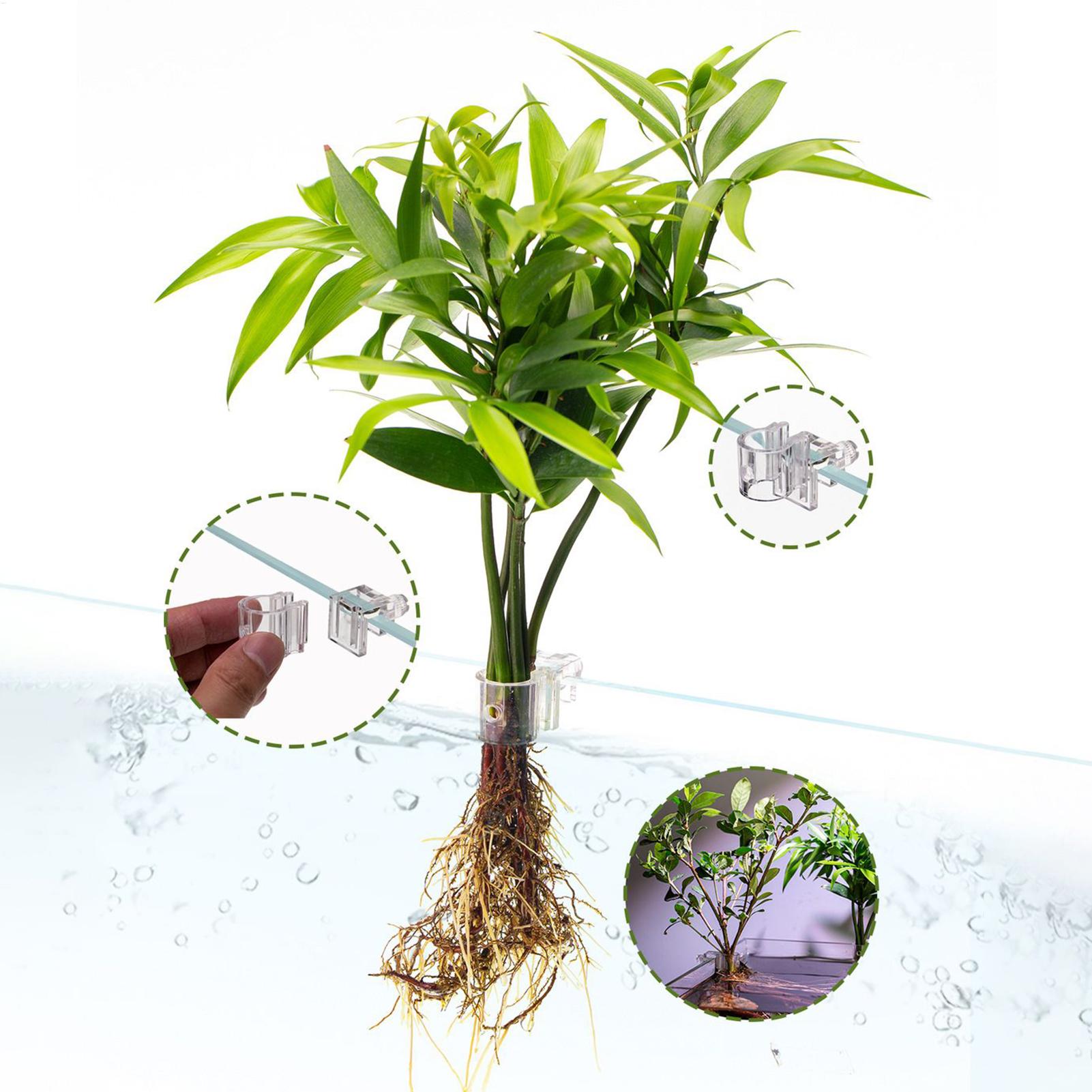 Aquarium Plant Basket Transpar - огляд і ціна Aquarium Plant Rings
