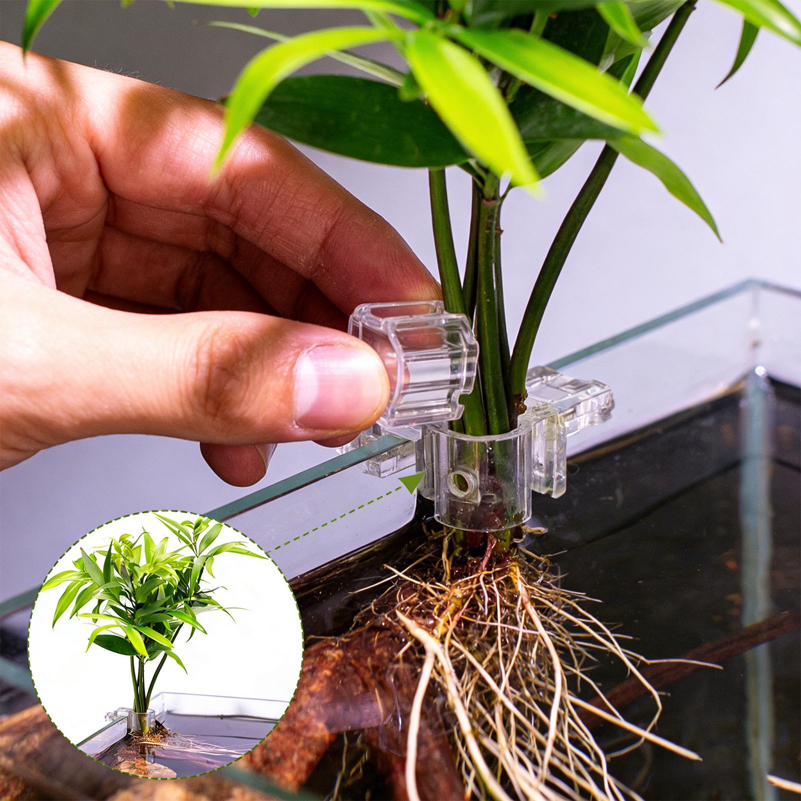 Aquarium Plant Basket Transpar - огляд і ціна Aquarium Plant Rings