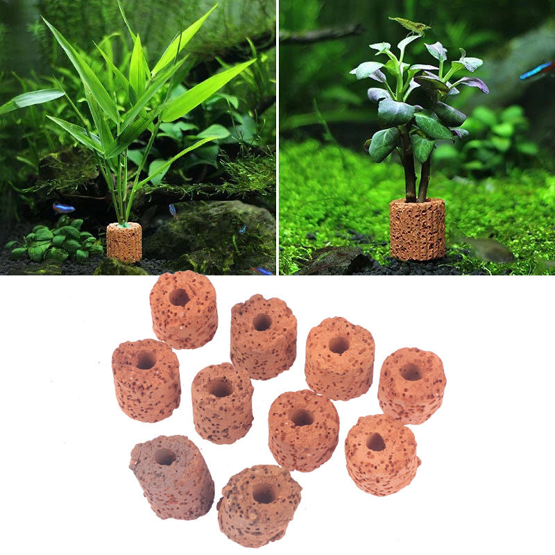 ^10Pcs Plant Ring Aquarium Fix - огляд і ціна Aquarium Plant Rings