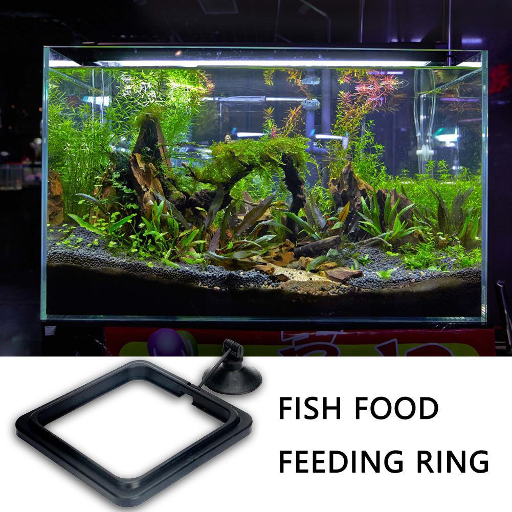 Floating Food Water Plant Buoy - огляд і ціна Aquarium Plant Rings