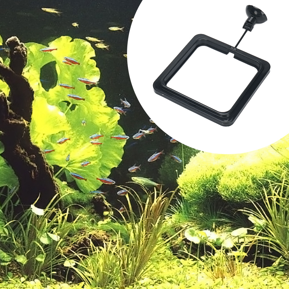 Floating Food Water Plant Buoy - огляд і ціна Aquarium Plant Rings
