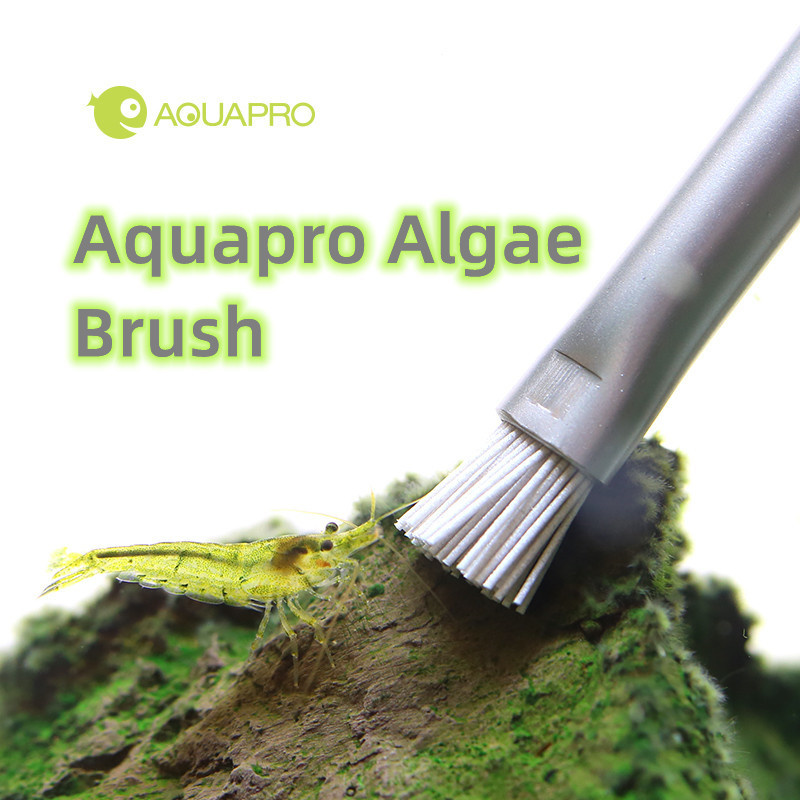 Aquapro Algae Brush Aquarium F - огляд і ціна Planted Aquarium Ada