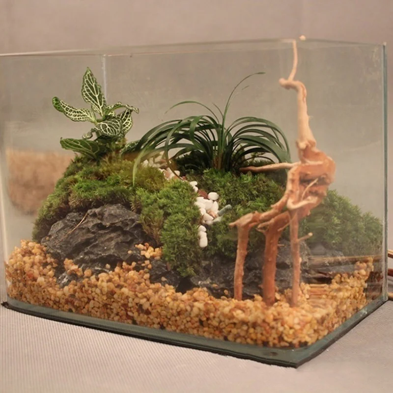 Natural Tree Trunk Driftwood A - огляд і ціна Aquarium Plant Root Tabs